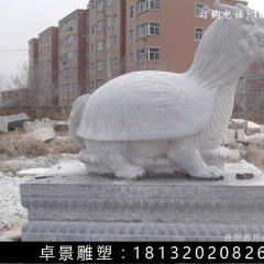 龍龜石雕，漢白玉龍龜雕塑