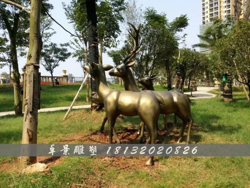 梅花鹿銅雕,公園動(dòng)物銅雕 (2)