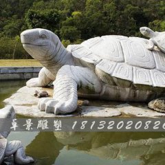 烏龜石雕，漢白玉烏龜?shù)袼? width=