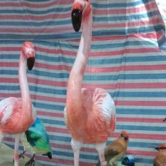 玻璃鋼火烈鳥雕塑，仿真火烈鳥雕塑