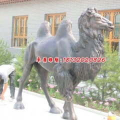 銅雕駱駝，公園動(dòng)物銅雕