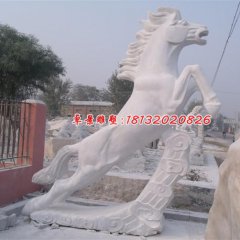 石雕馬，漢白玉馬雕塑，馬踏祥云石雕