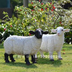 玻璃鋼仿真綿羊，玻璃鋼仿真綿羊雕塑