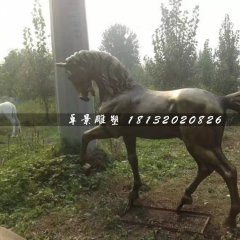 馬銅雕，公園動物銅雕