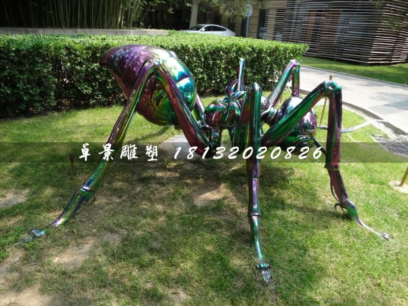 不銹鋼蜘蛛雕塑，公園動(dòng)物雕塑