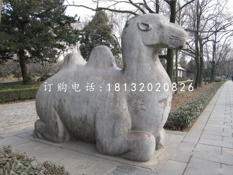 臥著的駱駝雕塑,公園動物石雕