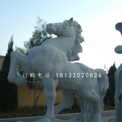 石雕馬，廣場(chǎng)動(dòng)物石雕