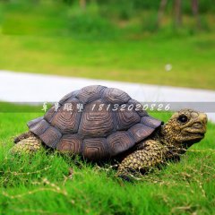 玻璃鋼烏龜?shù)袼?，仿真動物雕? width=